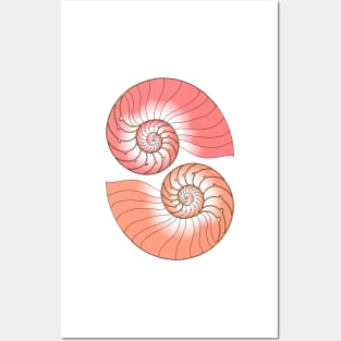 Nautilus Posters and Art